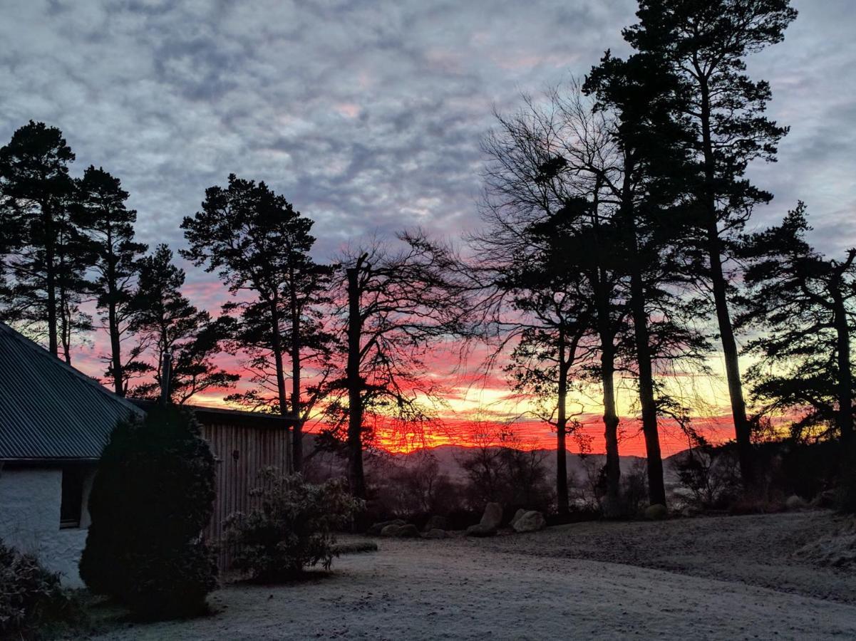 Glentruim Homestay B&B And Glamping Pods Newtonmore Dış mekan fotoğraf