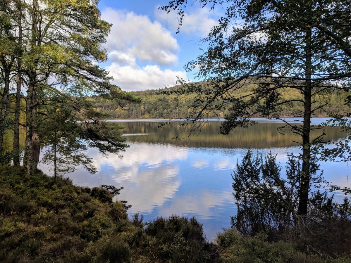 Glentruim Homestay B&B And Glamping Pods Newtonmore Dış mekan fotoğraf
