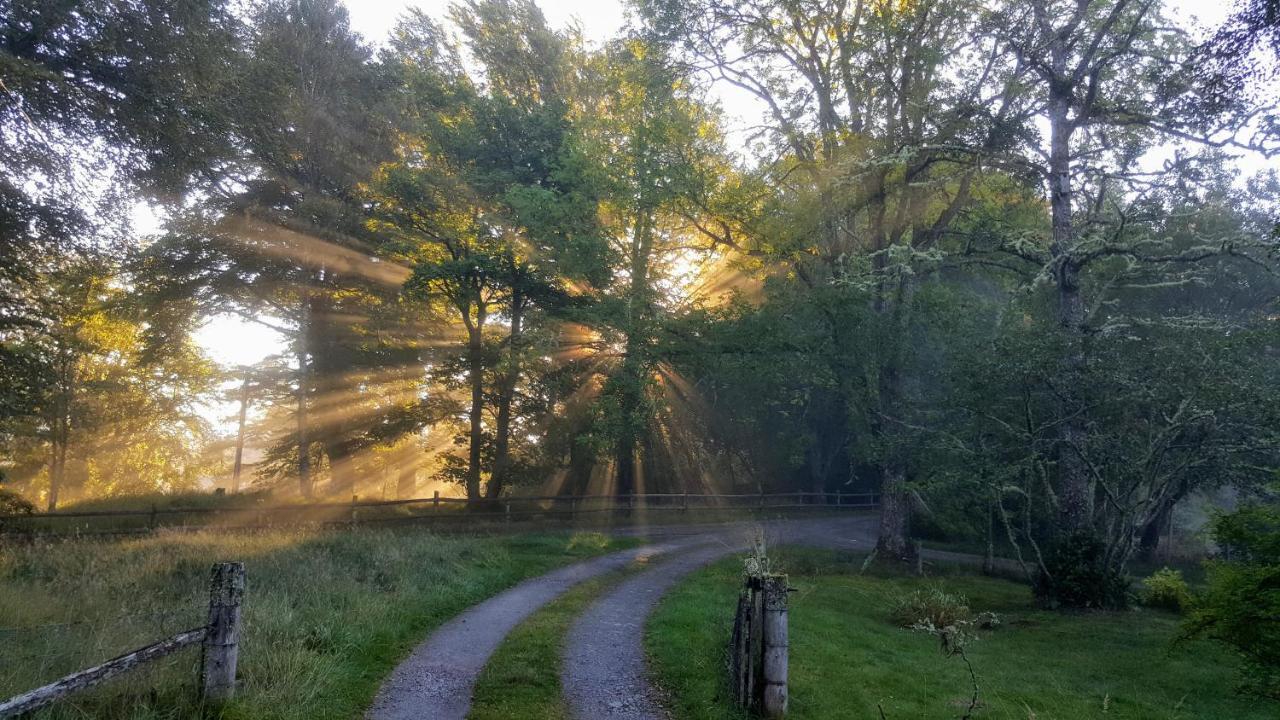 Glentruim Homestay B&B And Glamping Pods Newtonmore Dış mekan fotoğraf